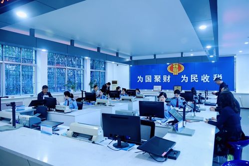 慶陽稅務(wù) 高效辦稅促發(fā)展，稅惠服務(wù)暖企心